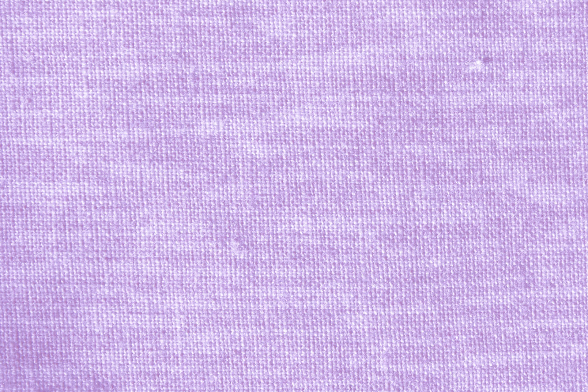 Solid Light Purple Wallpaper