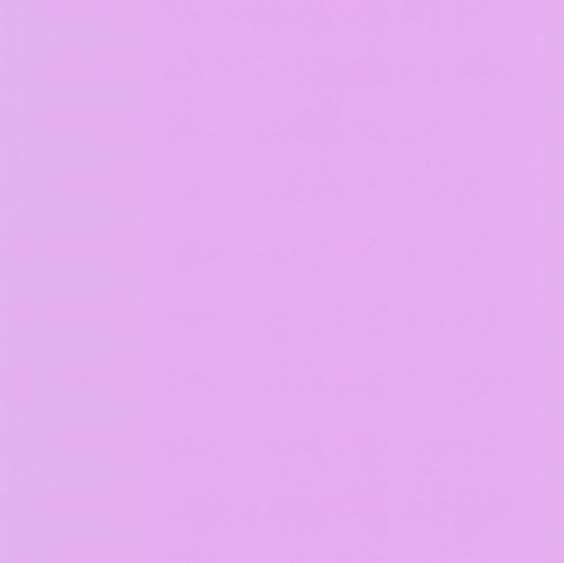 Lebendigeeinfarbige Hellviolette Hintergrundbild Wallpaper