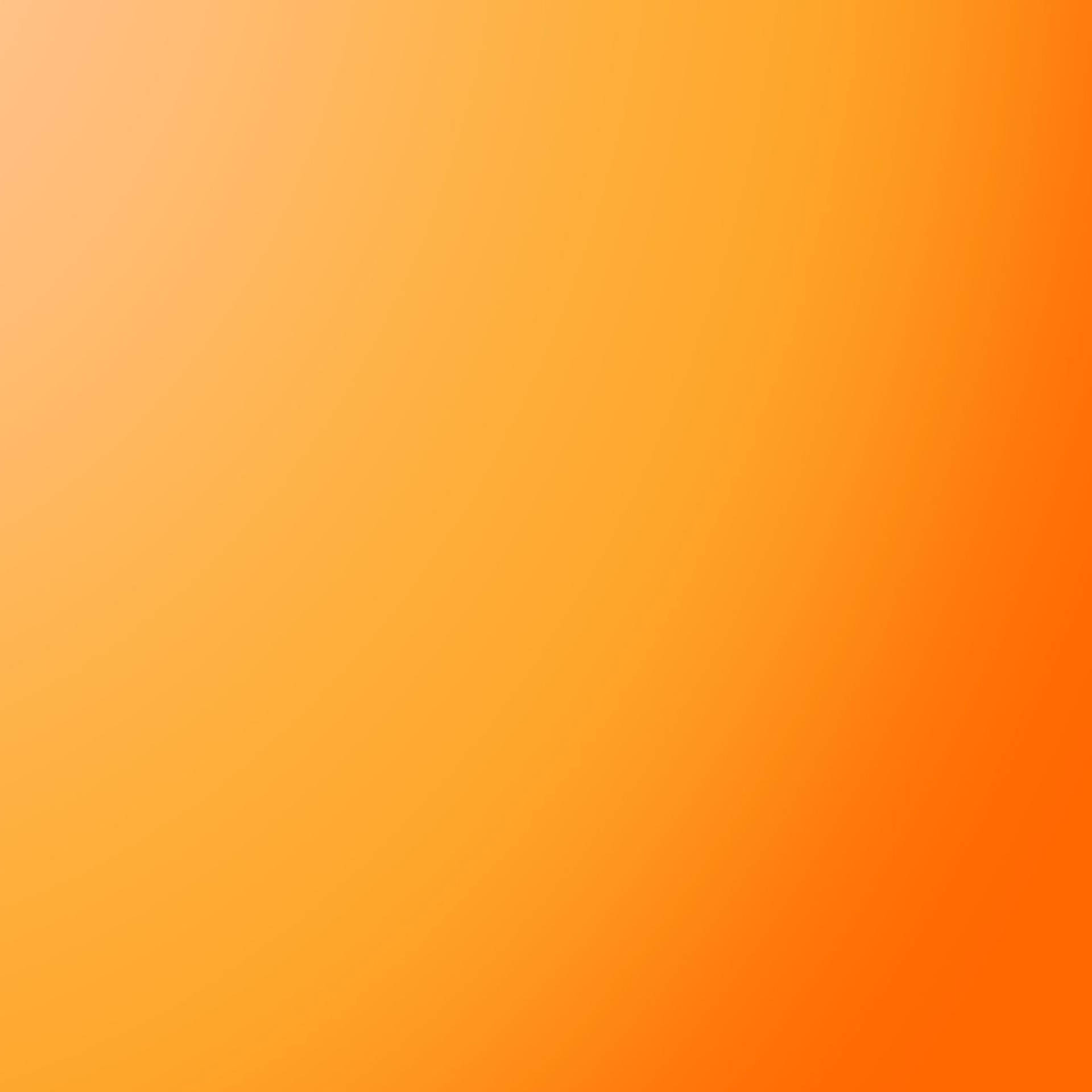 Solid Tangerine Orange Background Wallpaper