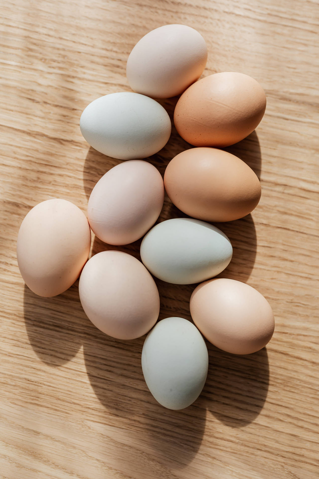 Solid Pastel Color Nordic Eggs Wallpaper