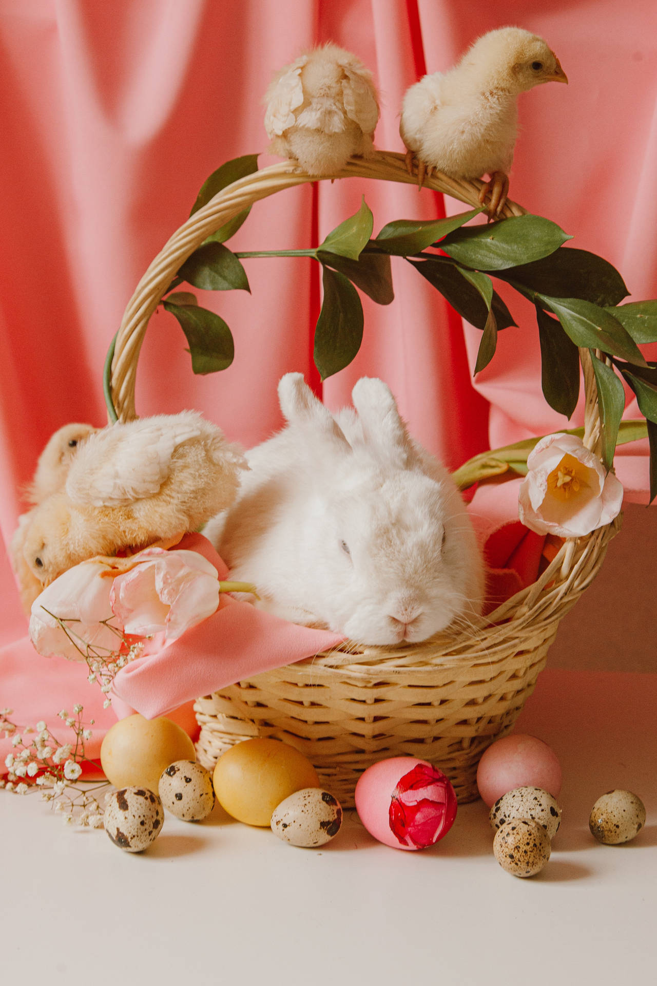 Solid Pastel Color Pink Rabbit And Chickens Background