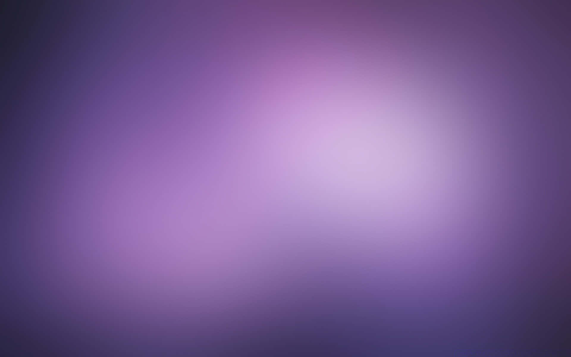 A beautiful view of a solid purple background