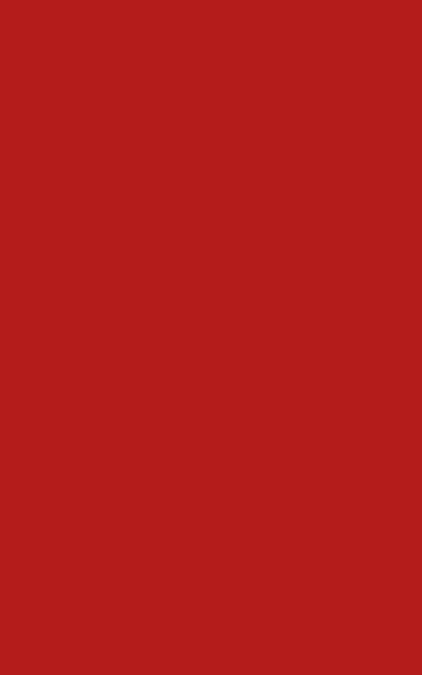 Enenfärgad Röd Bakgrund I Storleken 1600 X 2560