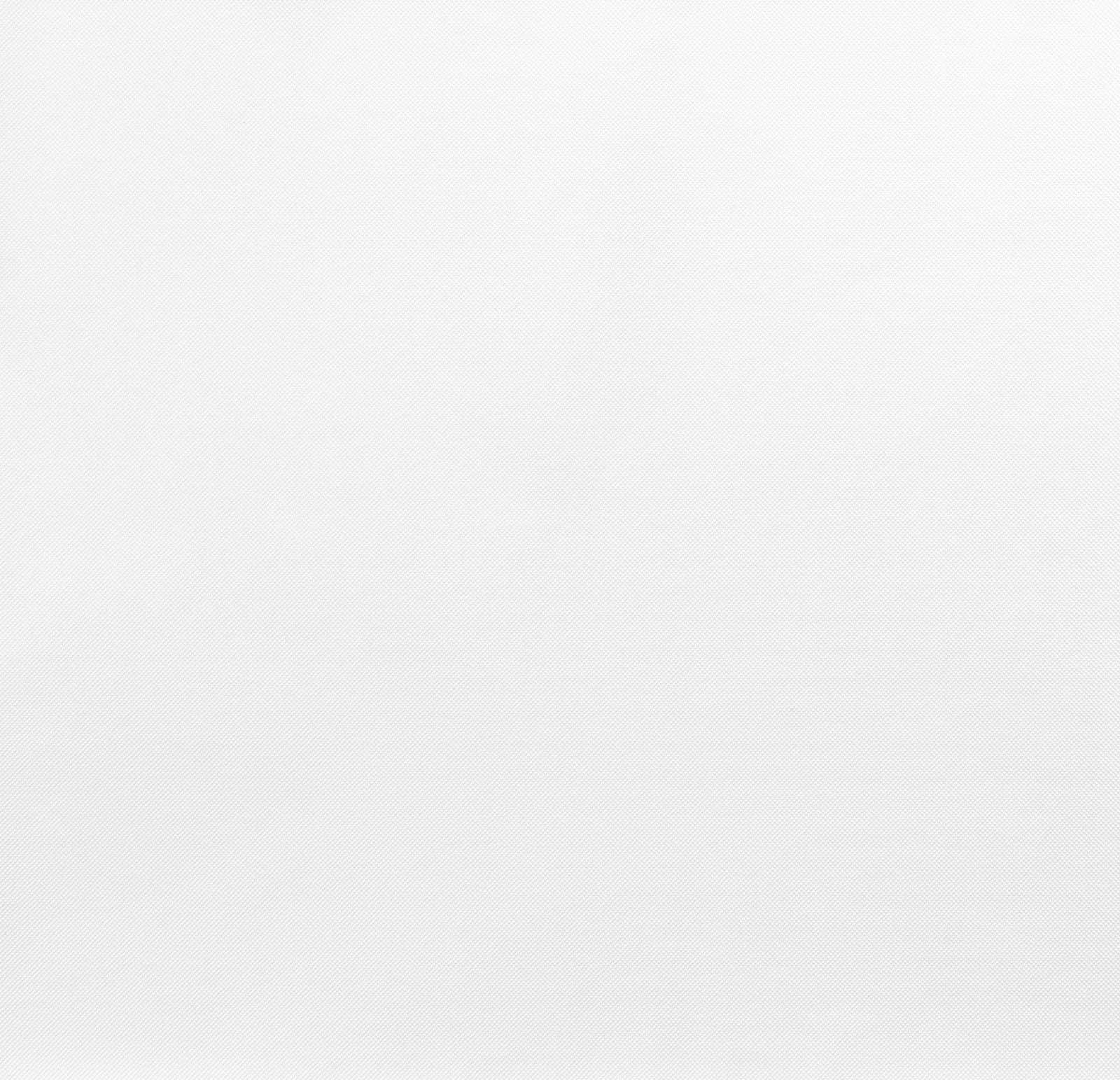 Pure White Solid Background