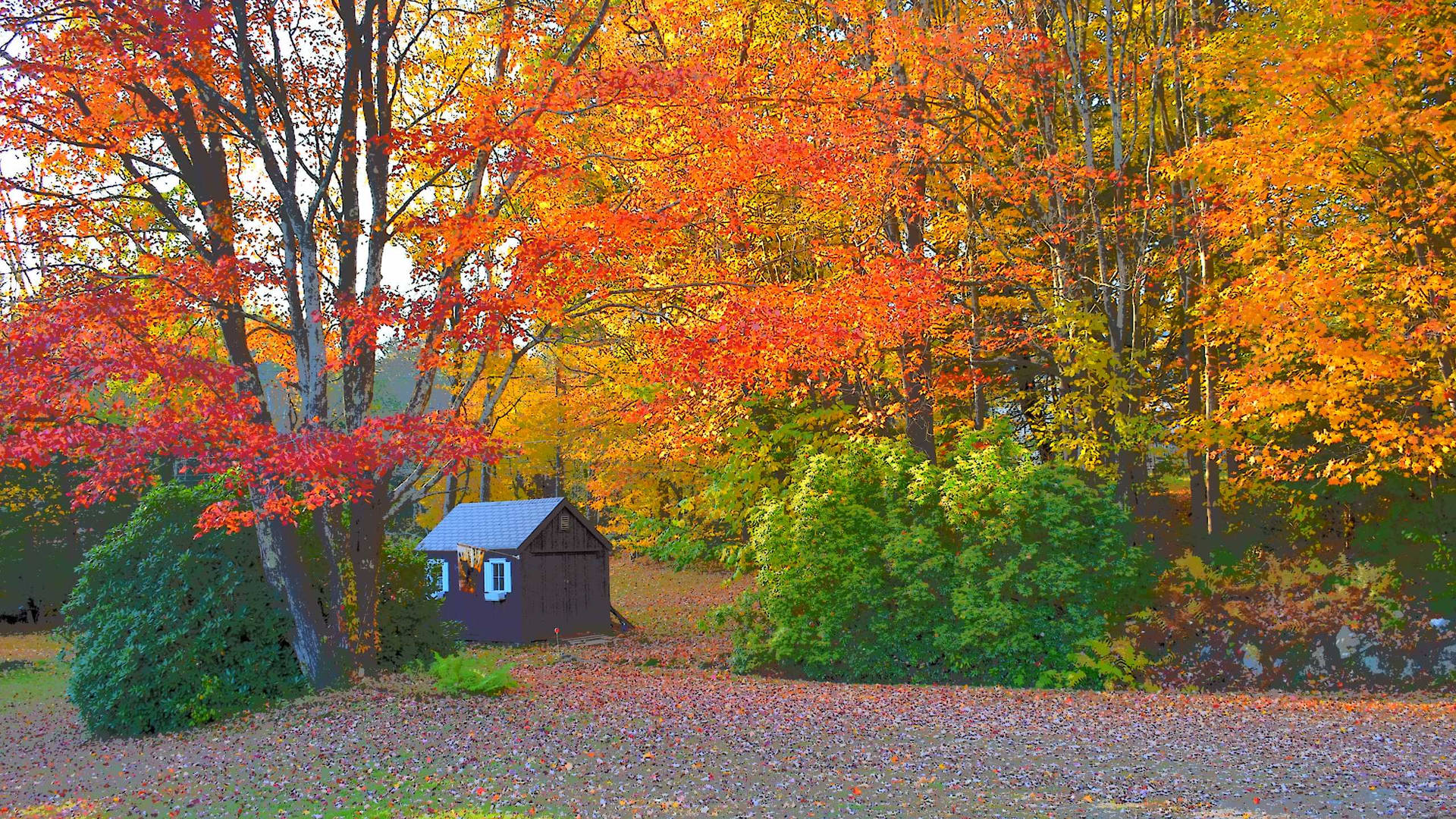 Solitary Autumn Ma Cabin Wallpaper