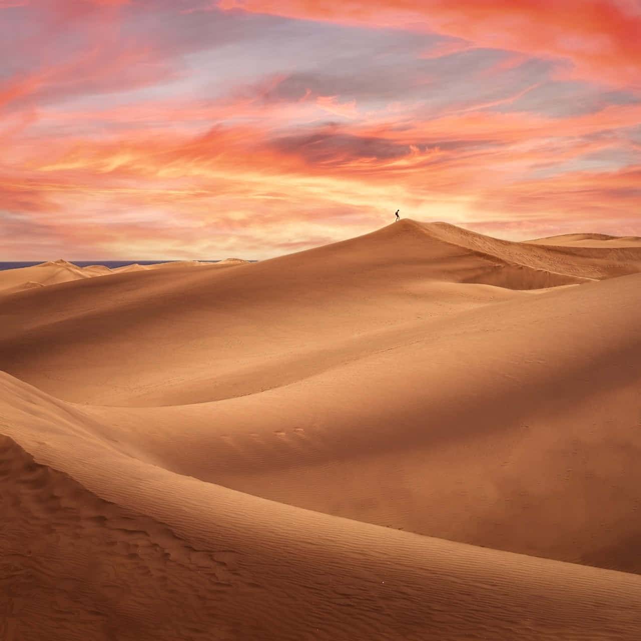 Solitary_ Desert_ Wanderer_at_ Sunset Wallpaper
