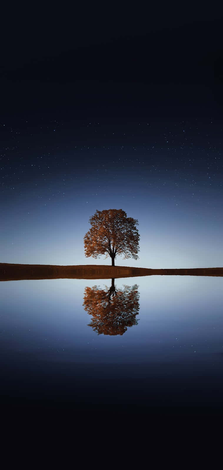 Solitary Tree Starry Night Reflection Wallpaper