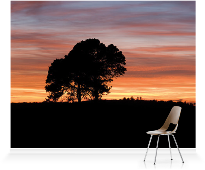 Solitary_ Chair_ Under_ Sunset_ Sky PNG
