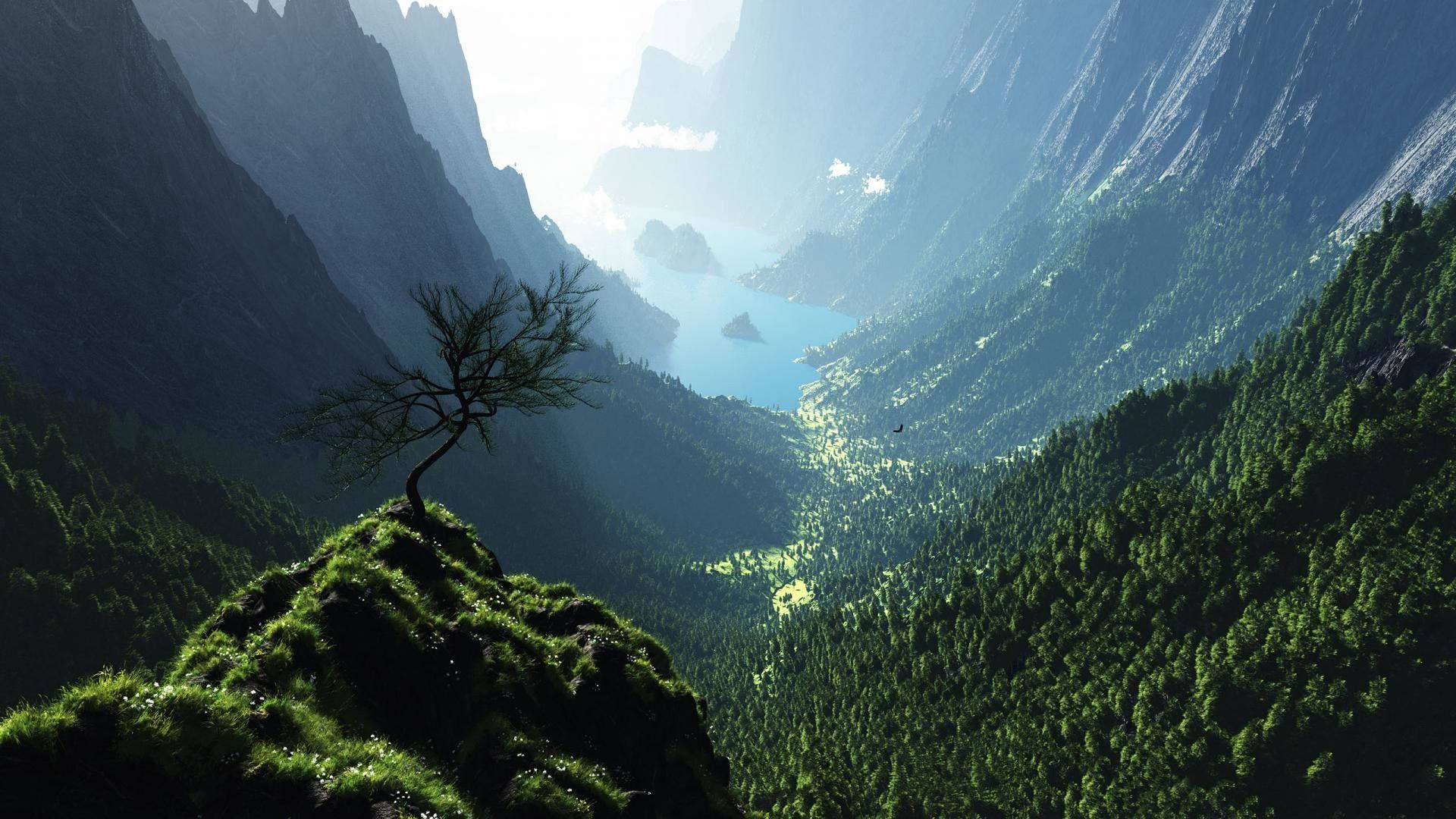 Solitary_ Tree_ Overlooking_ Mountain_ Valley.jpg SVG