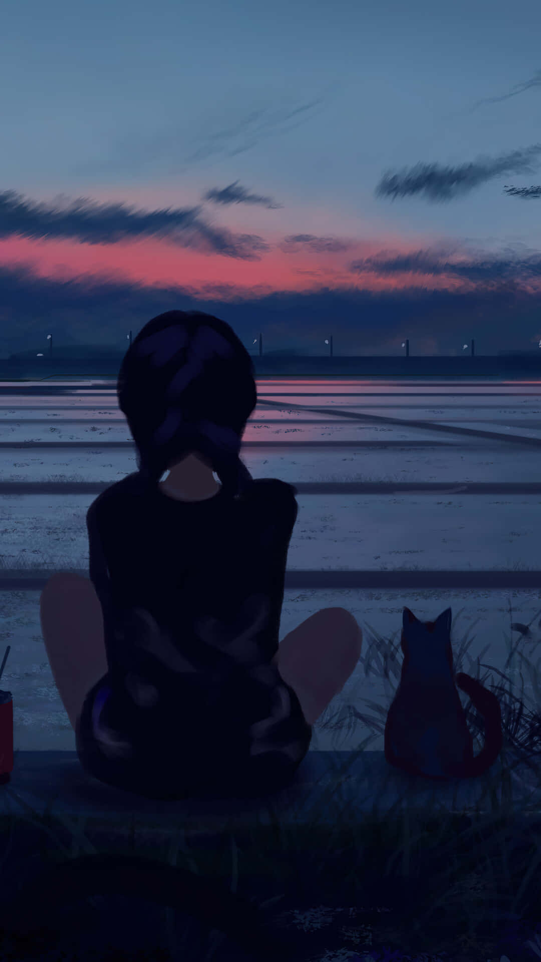Solitude_at_ Sunset_ Anime Wallpaper