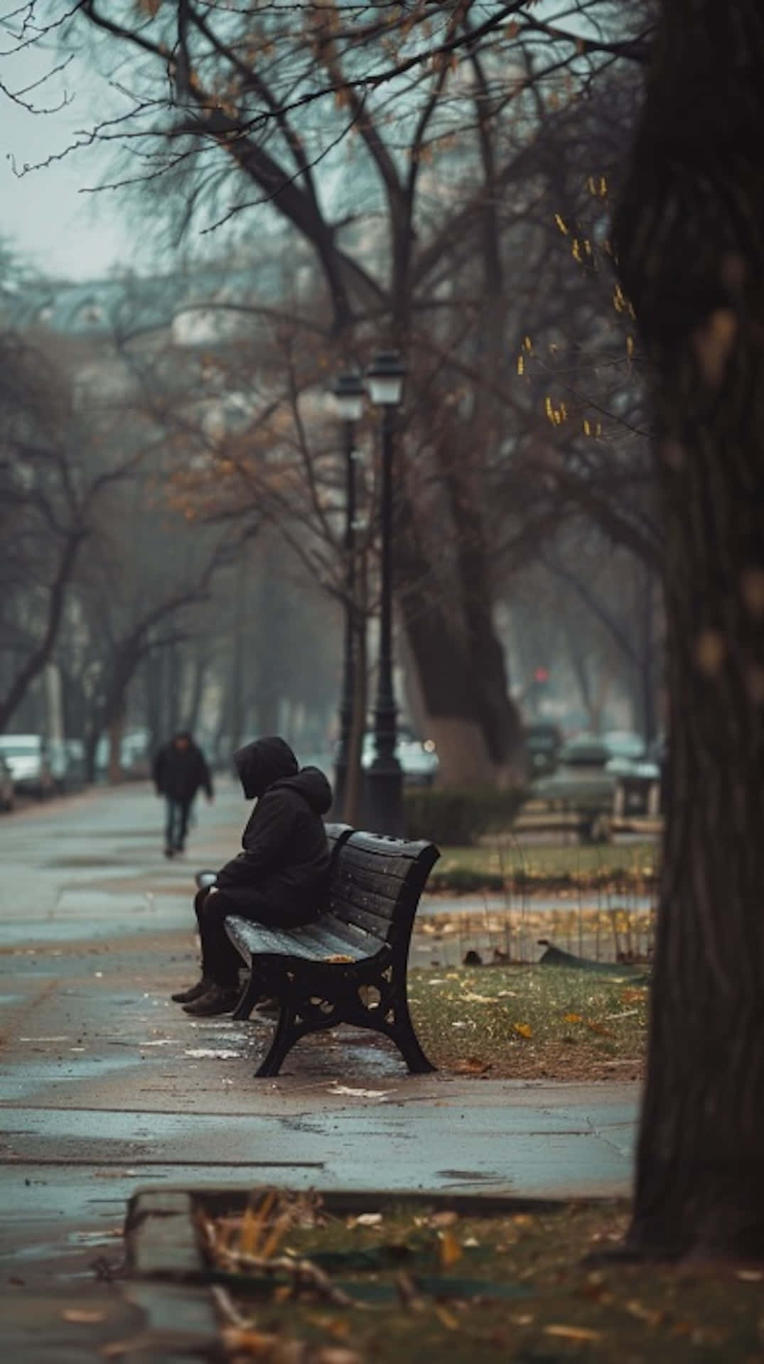 Solitude_in_the_ Park.jpg Wallpaper