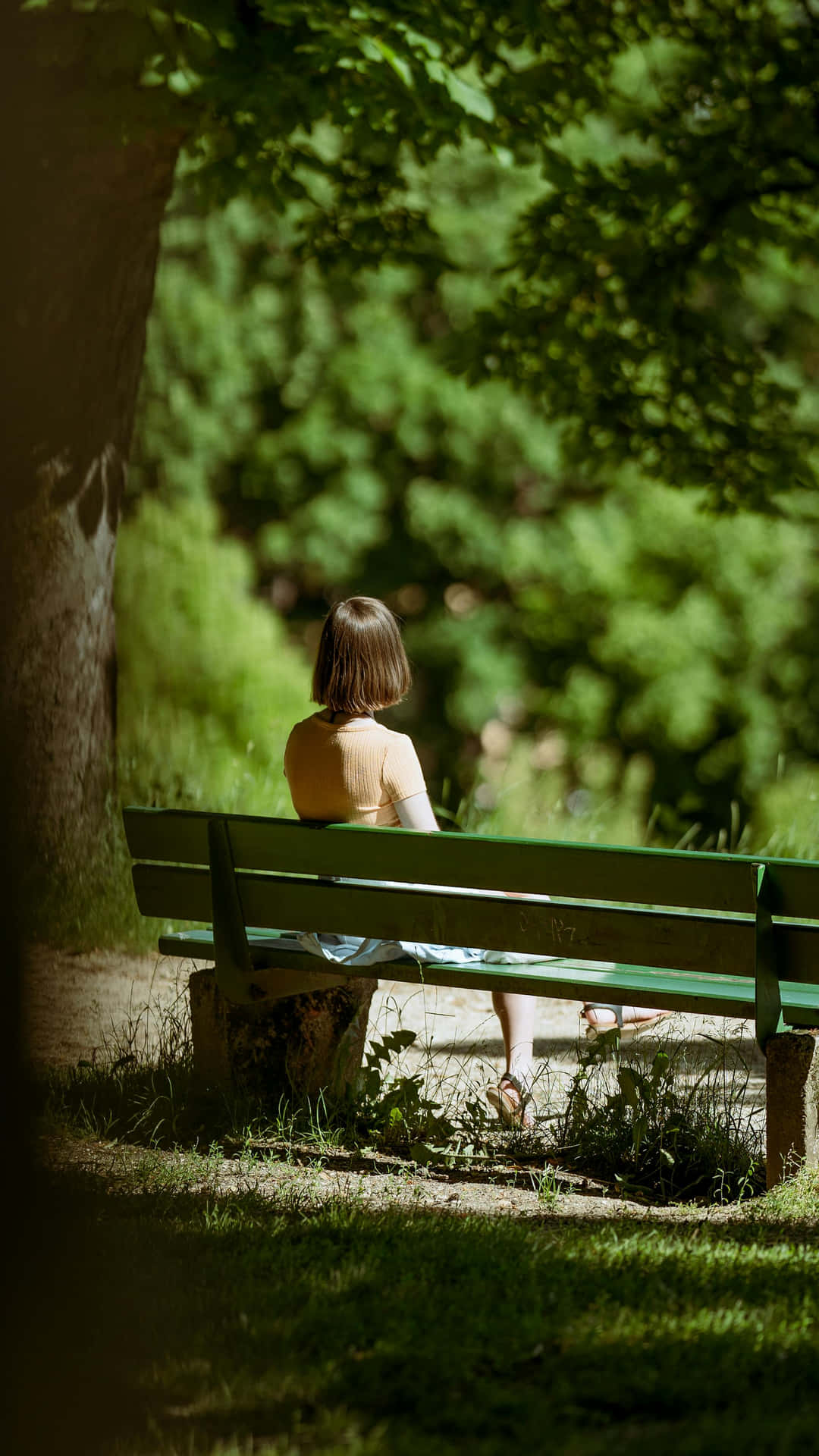 Solitude Dans La Nature Esthétique Verte Marron Fond d'écran