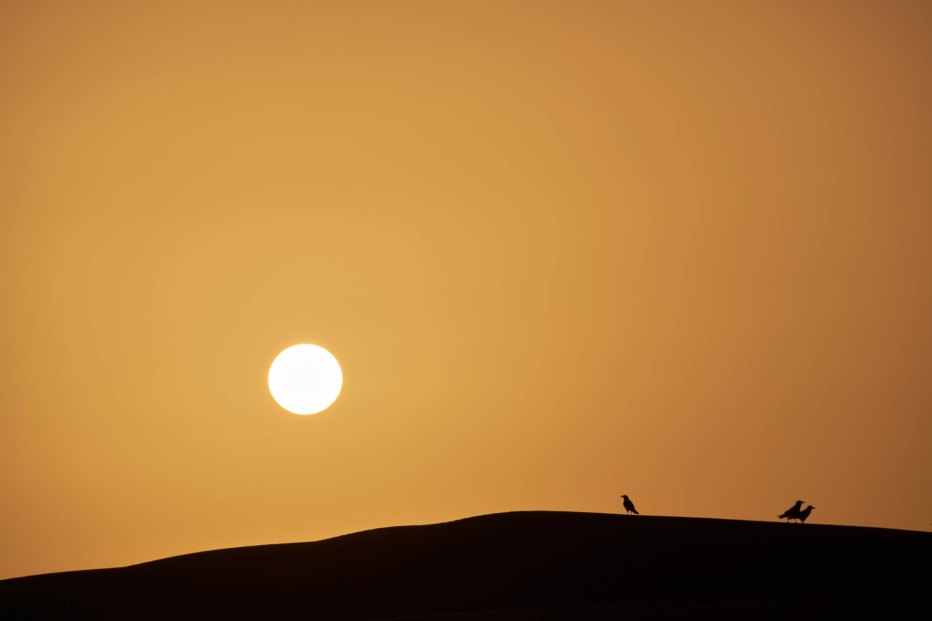 Solnedgang Over Sahara Wallpaper