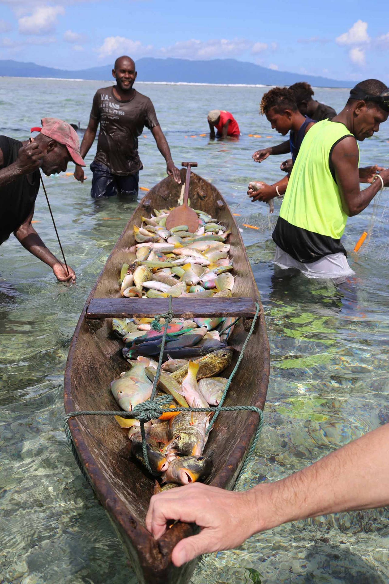 Solomoninseln: Boot Voller Fang Wallpaper