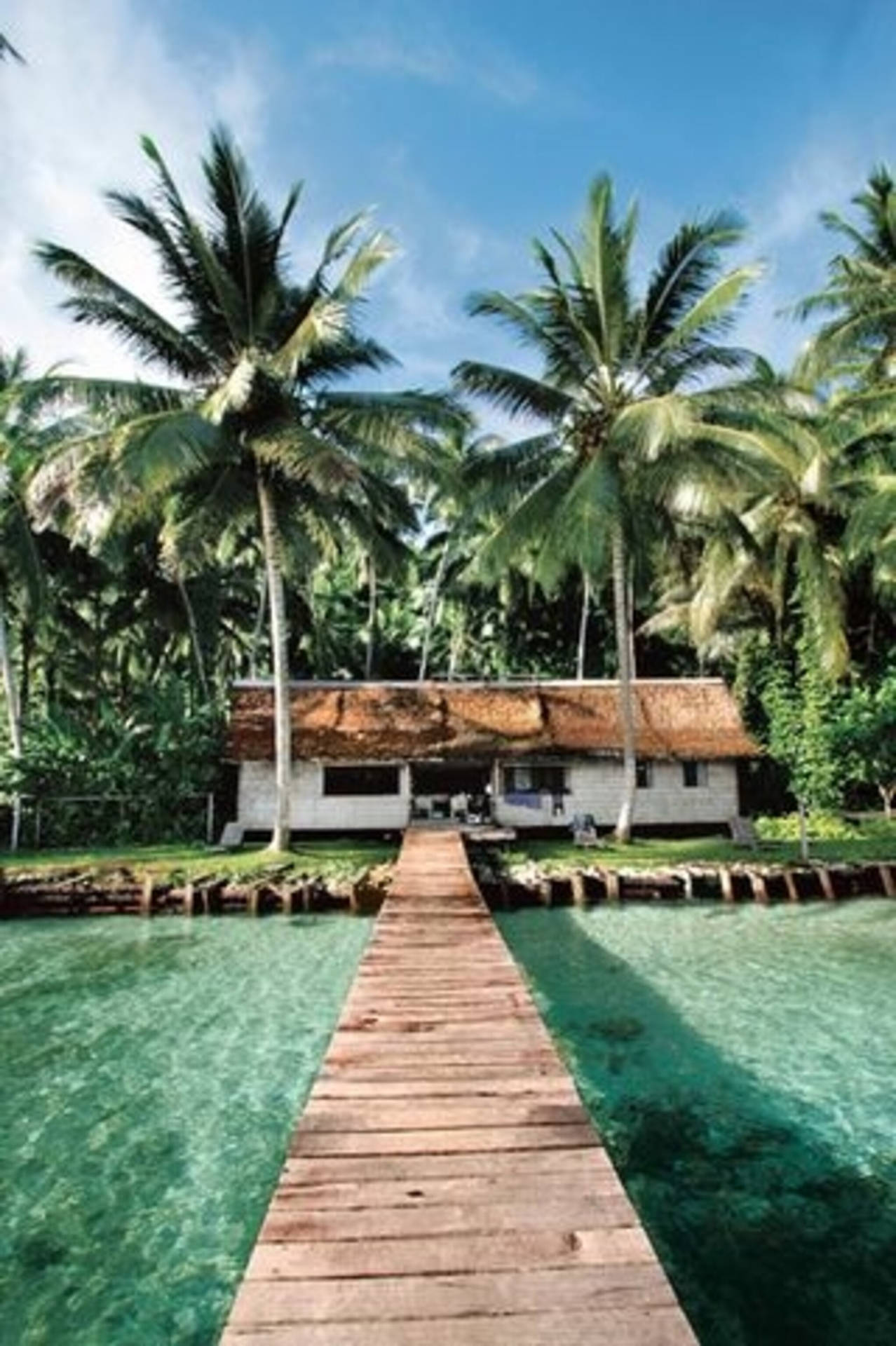 Solomon Islands Pathway To The Sea Wallpaper