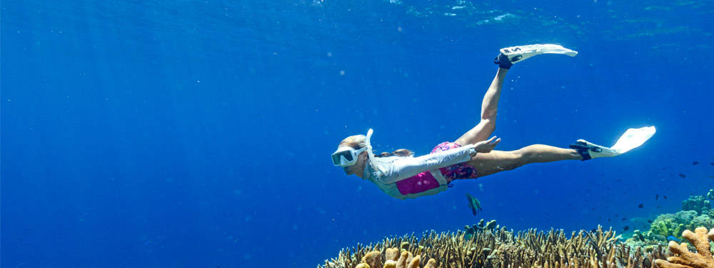 Immergersicon Lo Snorkeling Alle Isole Solomon Sfondo