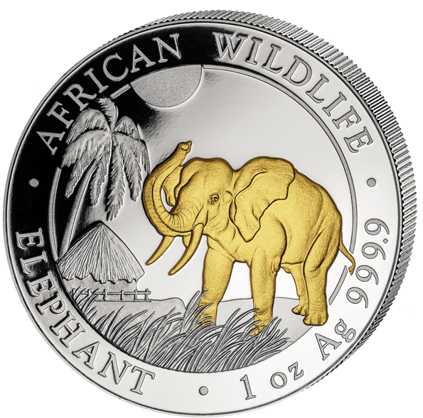 Somali Elephant Silver Coin2023 PNG