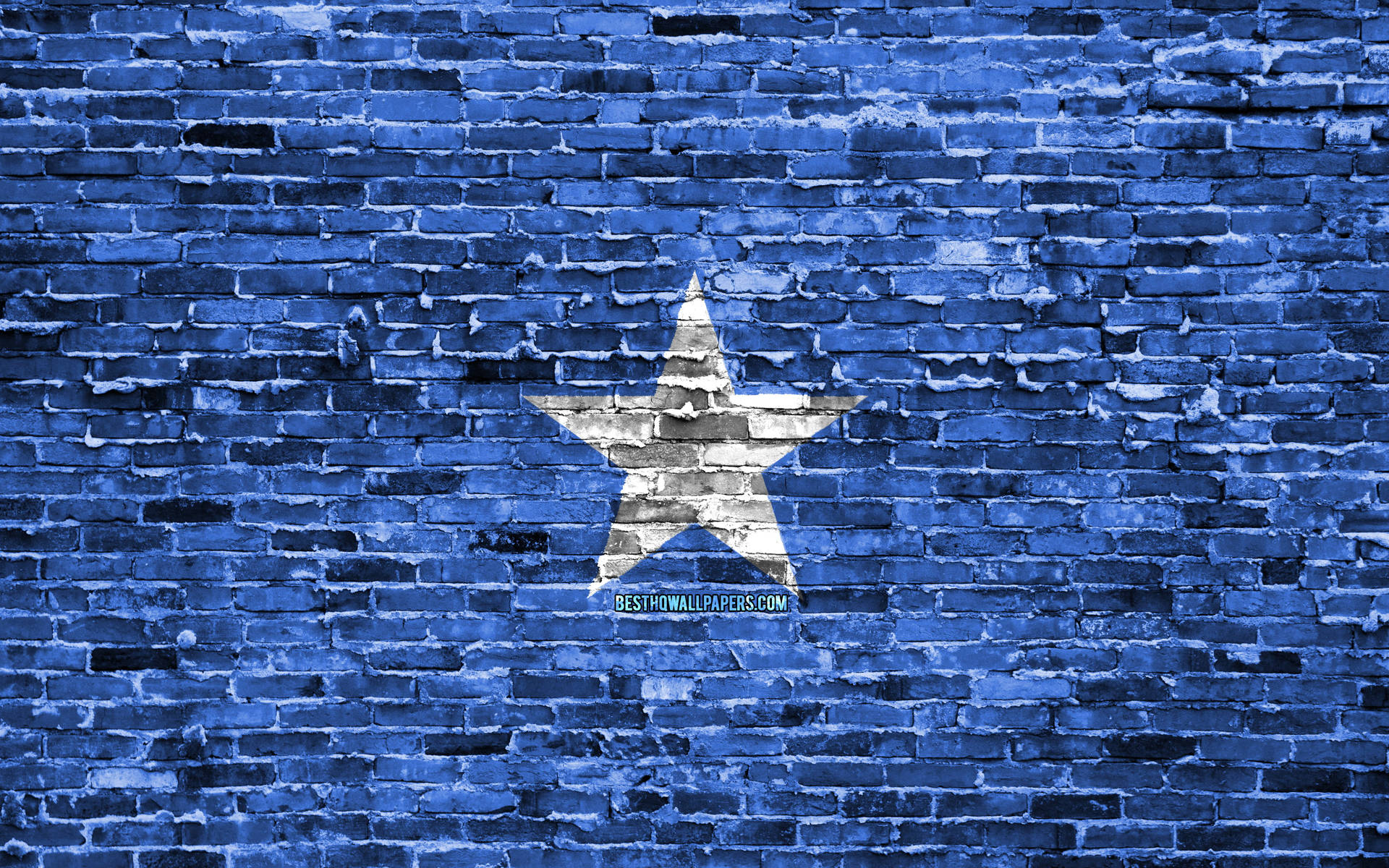 Somaliaflagge Auf Digitalem Ziegelwand-hintergrund Wallpaper