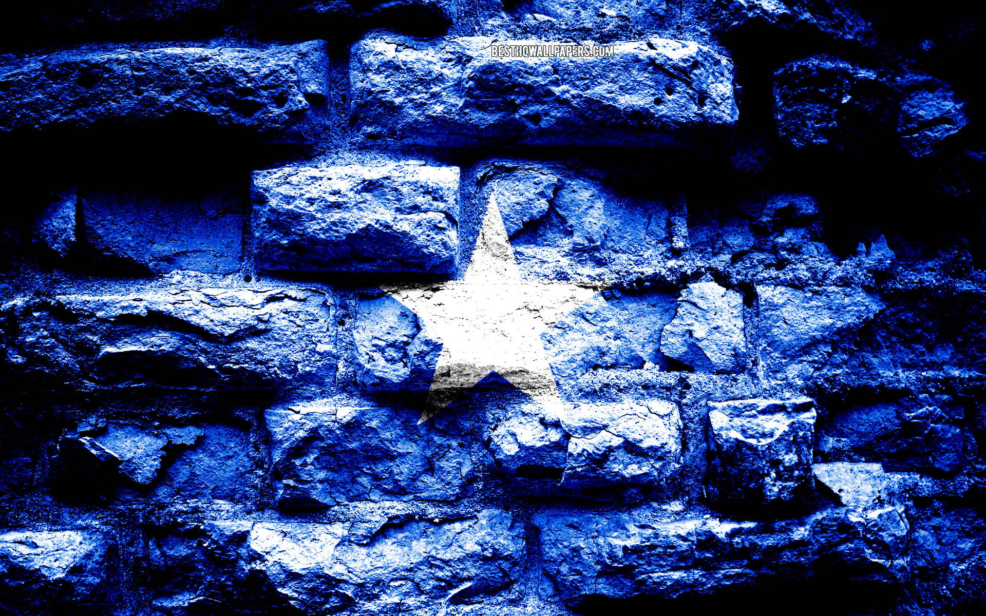 Somalia Flag Realistic Brick Wall Wallpaper