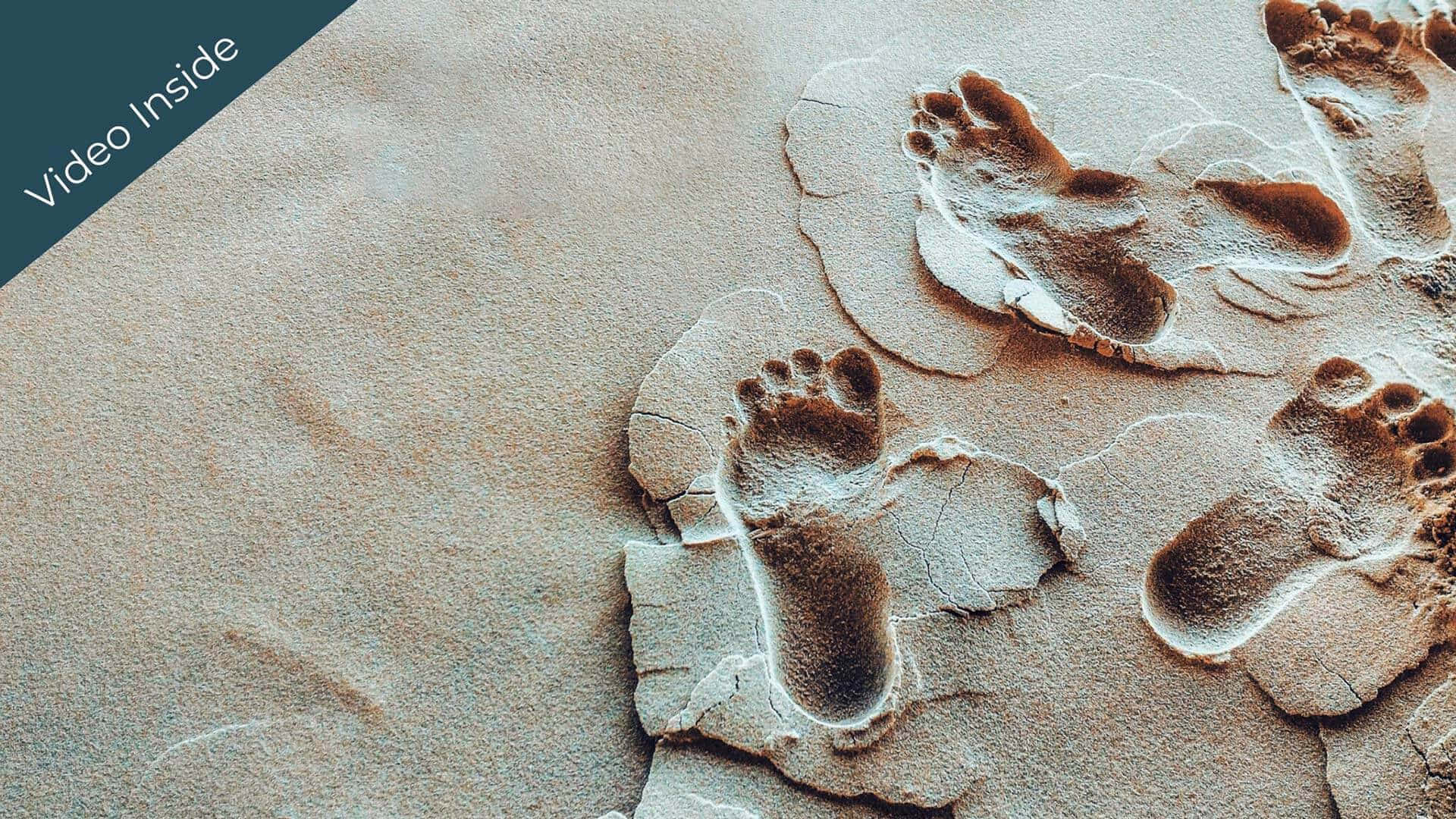 Somatic Baby Footprints Wallpaper