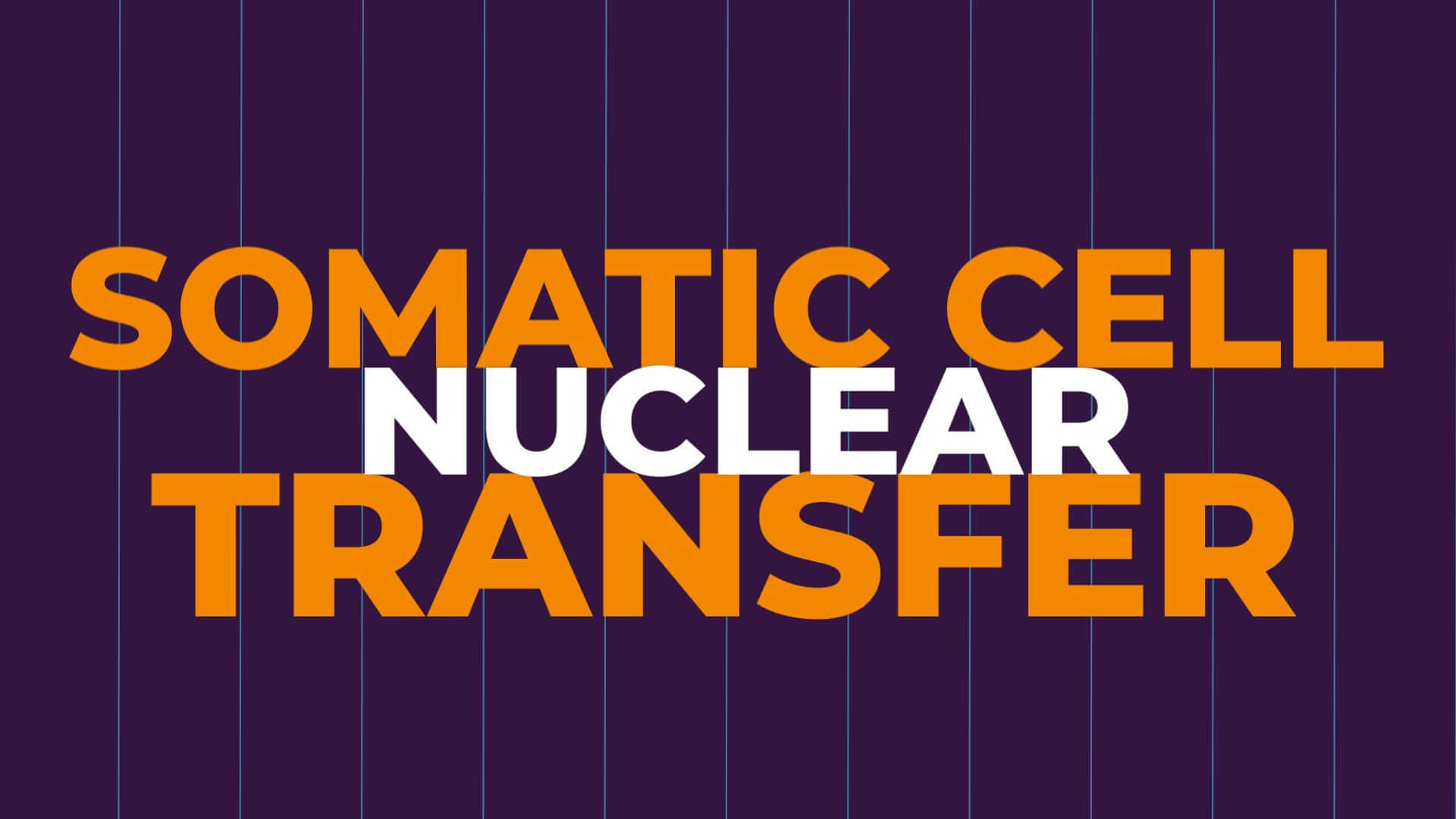 Somatic Cell Nuclear Transfer Wallpaper