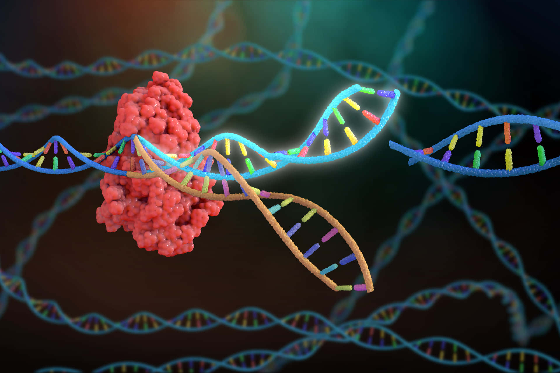 Somatic Colorful Dna Wallpaper
