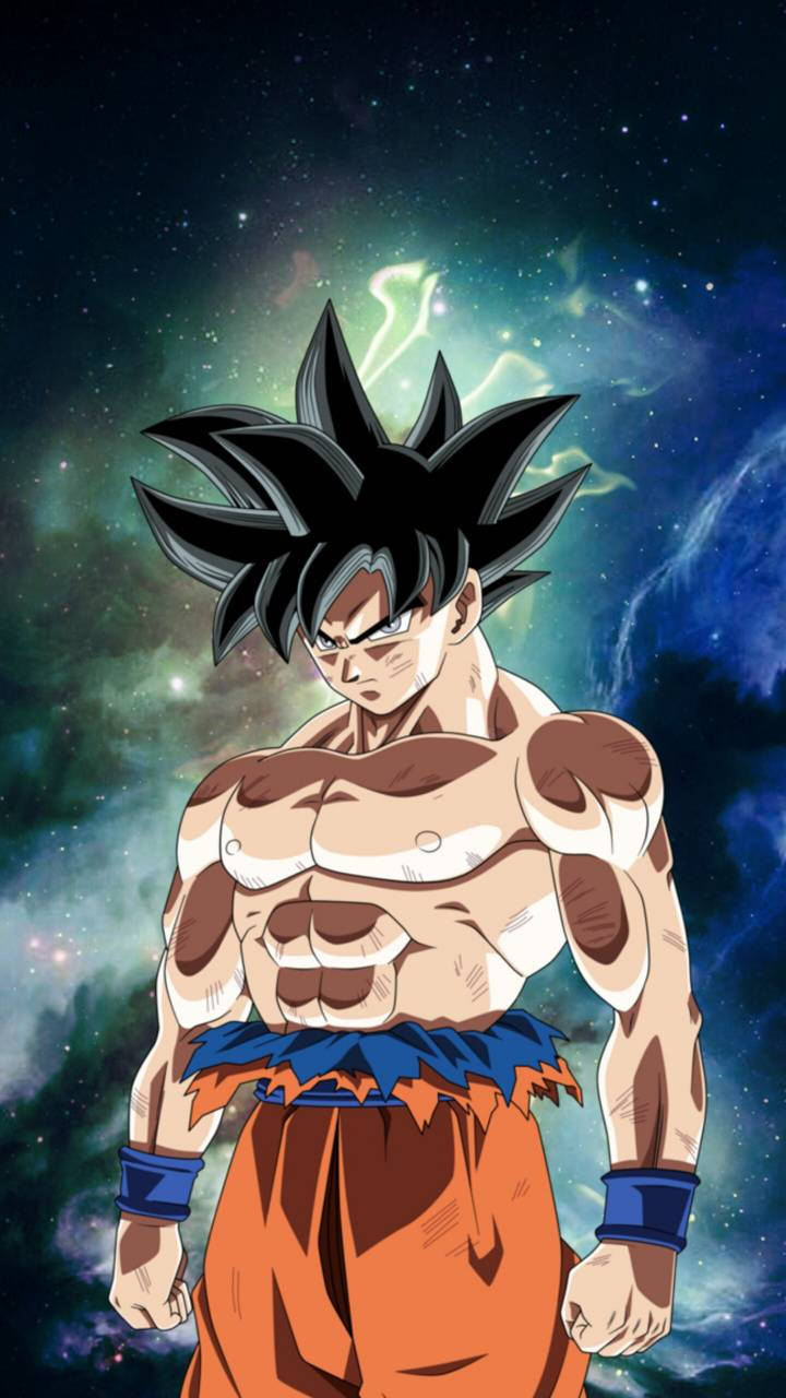 Son Goku Ultra Instinct Art