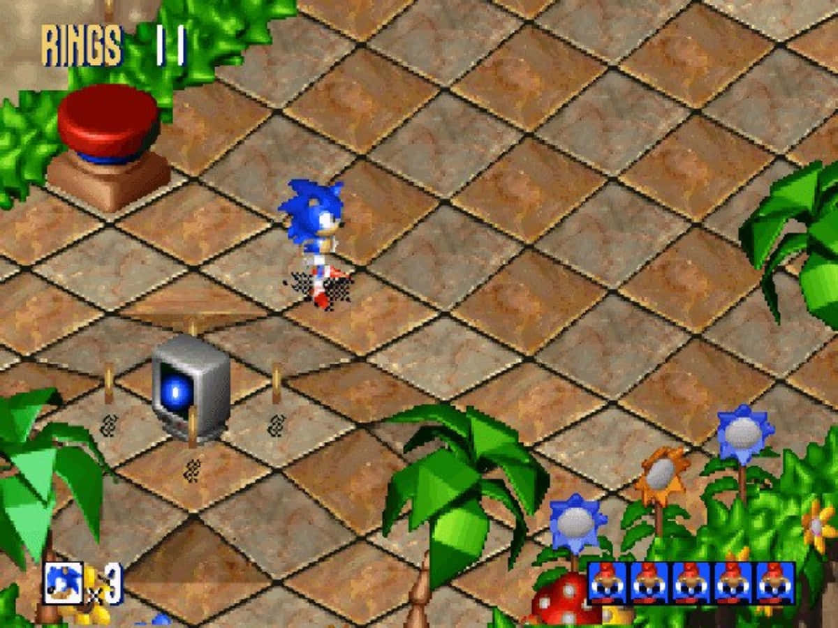 Action-packed Sonic 3D Blast gameplay in high-quality wallpaper. Wallpaper