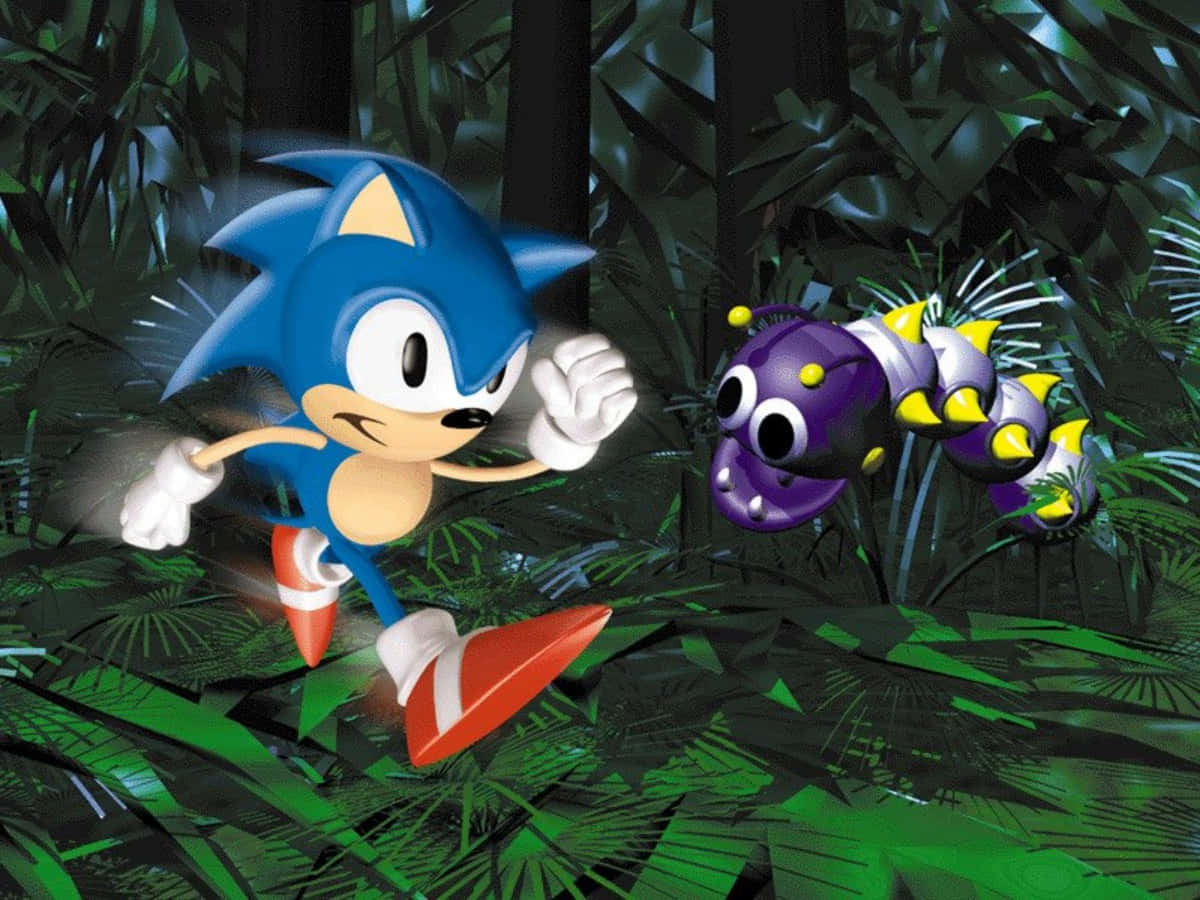 Sonic the Hedgehog in Sonic 3D Blast Adventure Wallpaper