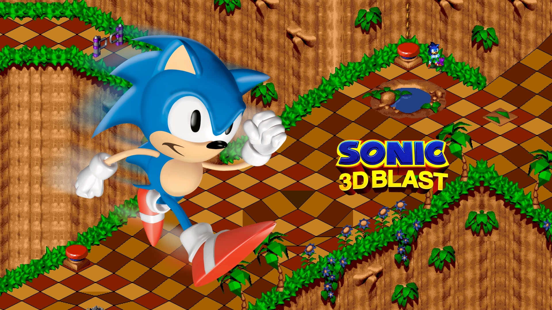 Caption: Sonic 3D Blast in Action Wallpaper