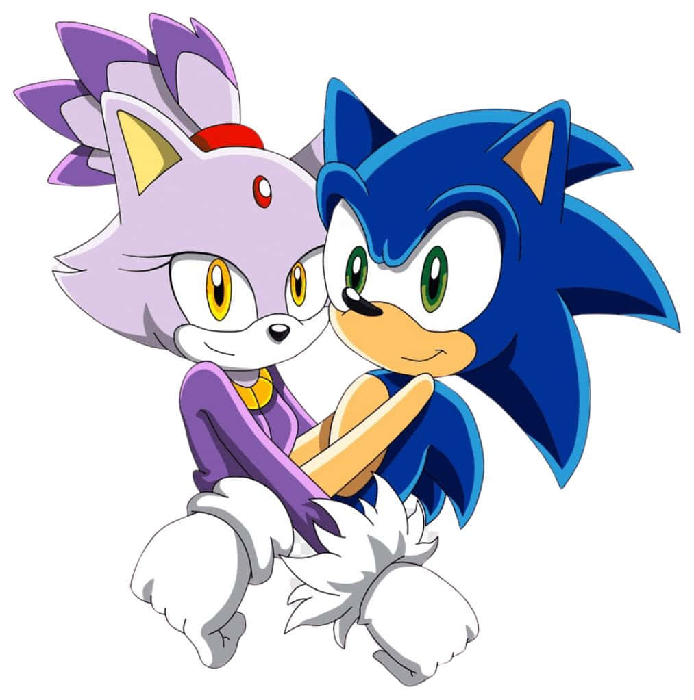 Sonic and Blaze's Dynamic Duo Wallpaper