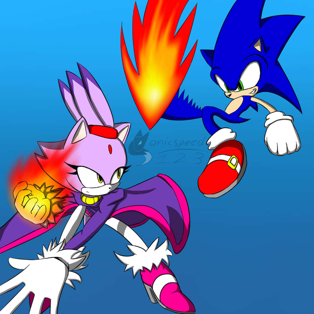 Sonic And Blaze Adventure Together Wallpaper