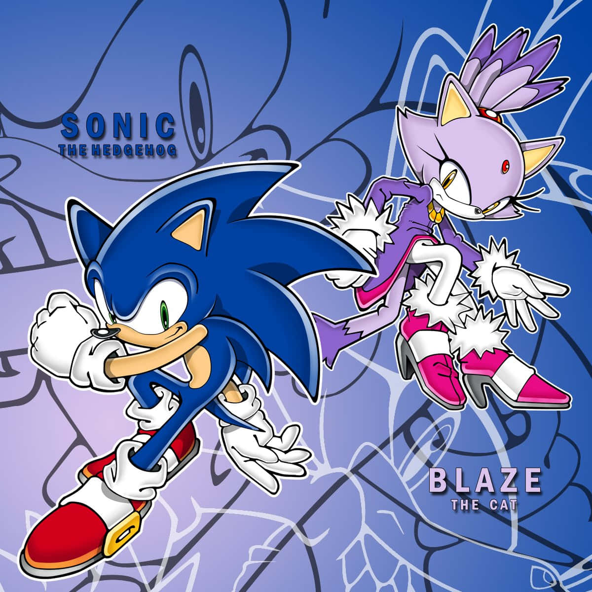 Sonic and Blaze in action together Wallpaper