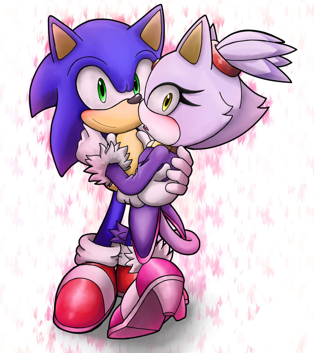 sonic the hedgehog and blaze the cat kissing