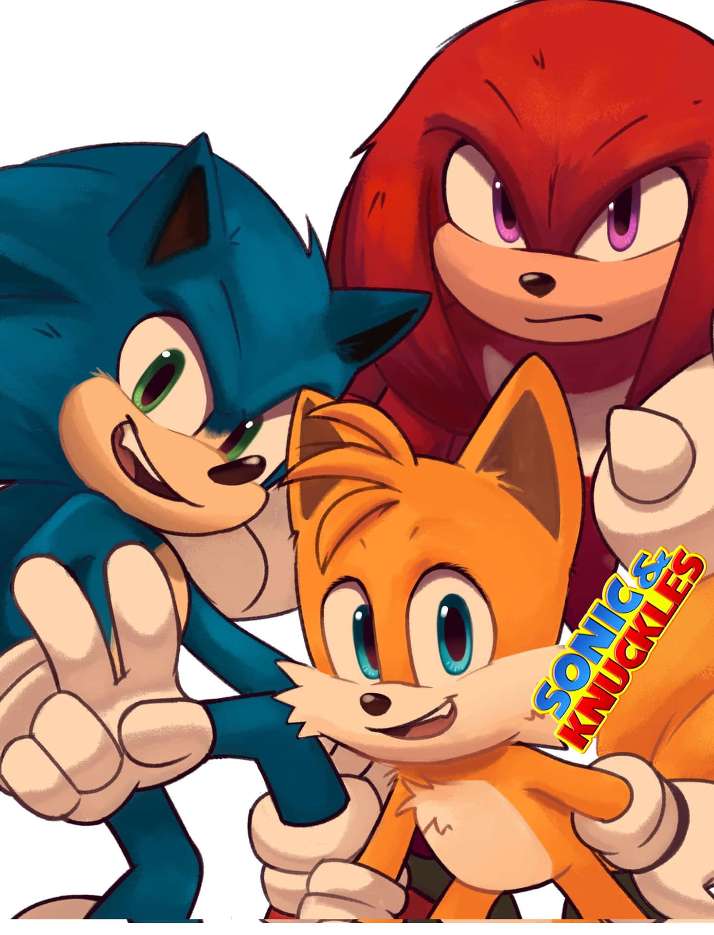 Sonic and Knuckles Team Up Wallpaper