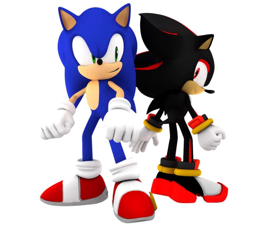 Sonic and Shadow facing each other in an epic showdown Wallpaper