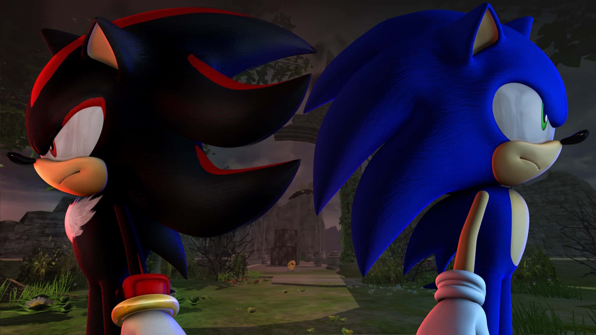 Sonic and Shadow: The Ultimate Rivals Face-off Wallpaper