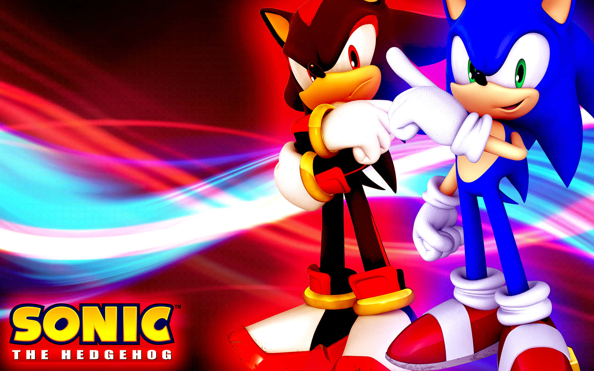 Sonic and Shadow Racing Through Green Hill Zone Wallpaper