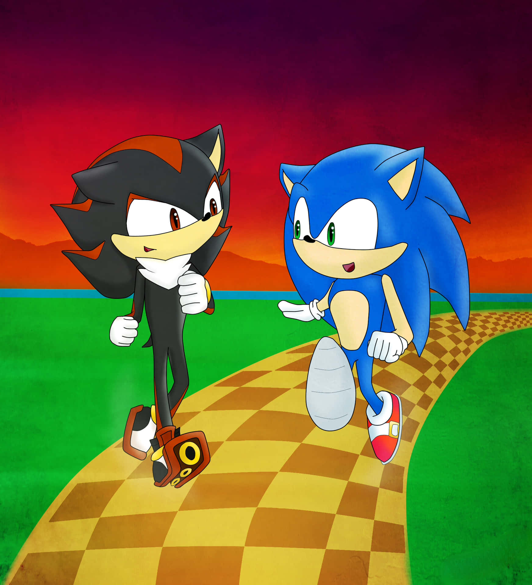 Sonic and Shadow: Speed Icons of the Gaming World Wallpaper