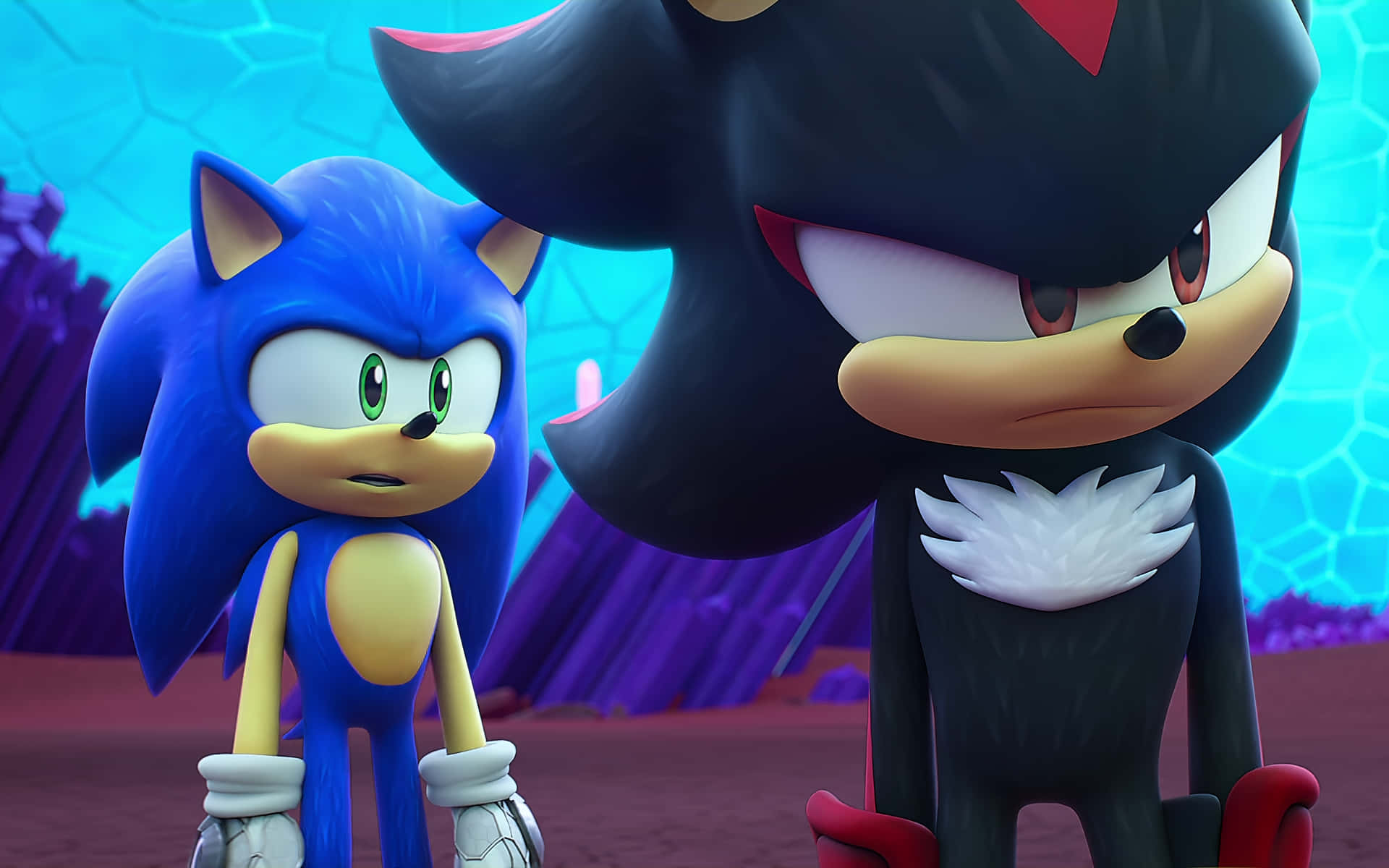 Sonic_and_ Shadow_ Stare Down Wallpaper