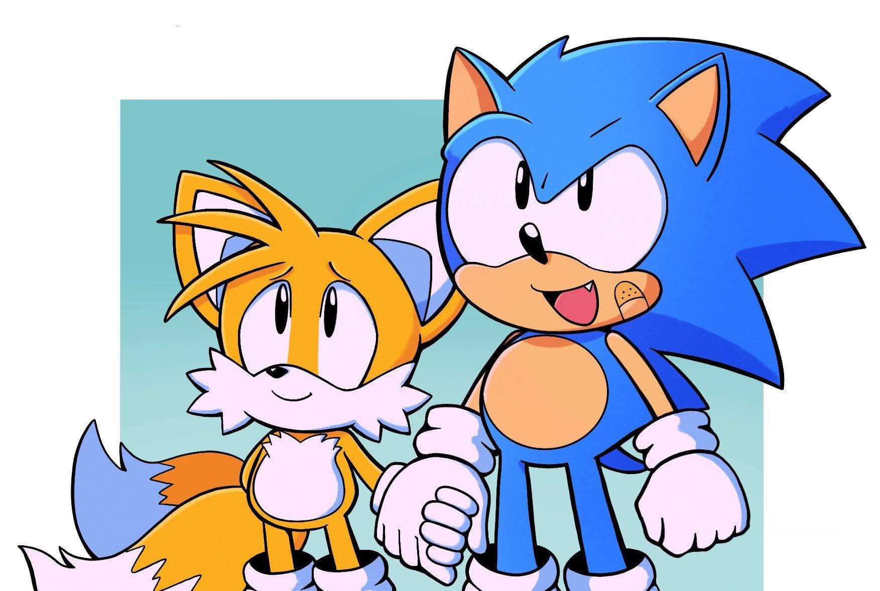 Sonic and Tails racing through the Green Hill Zone together. Wallpaper