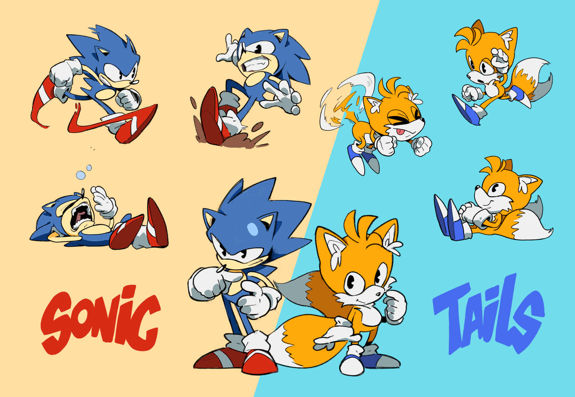 Sonic and Tails in High Definition Wallpaper