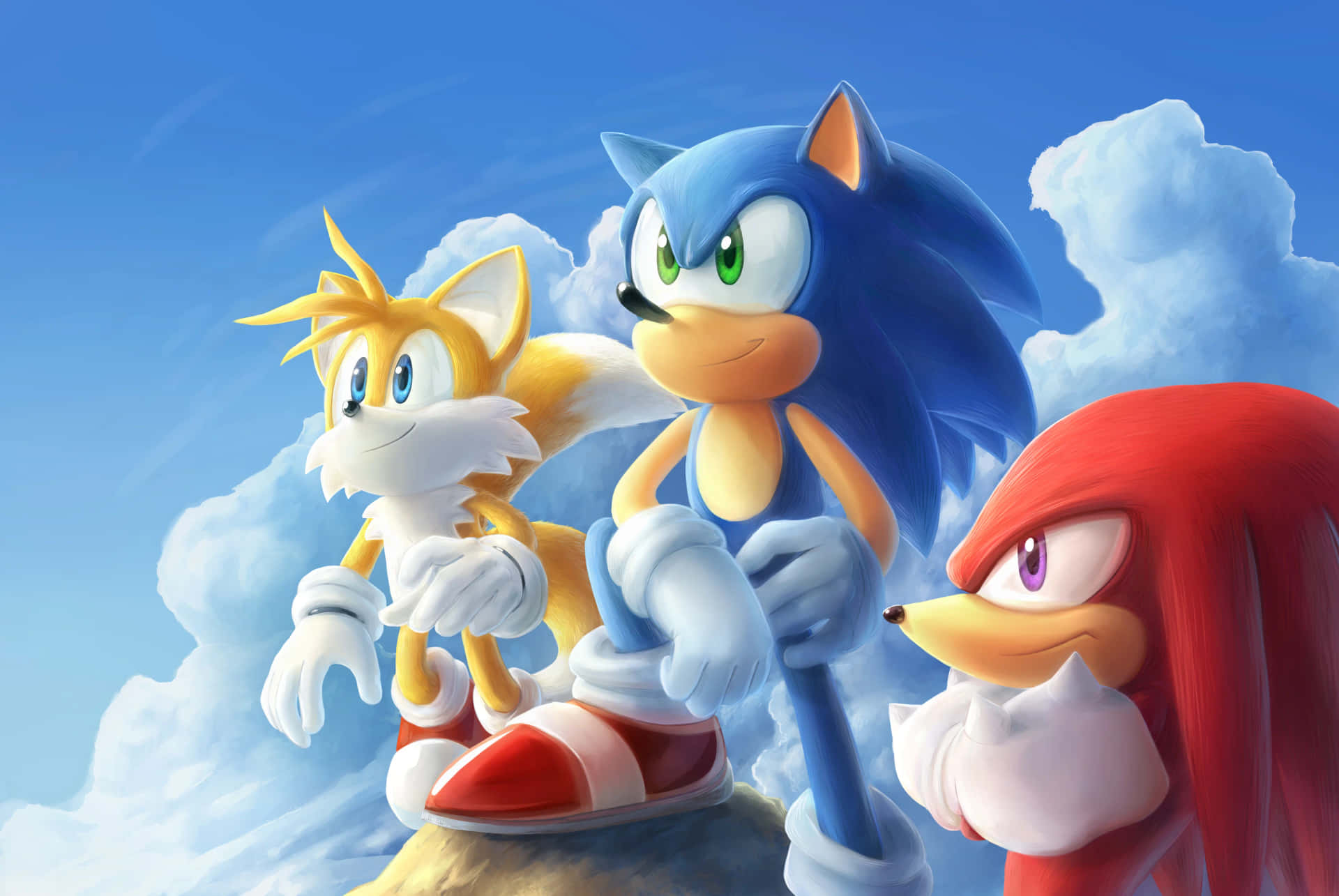 Sonic and Tails in action Wallpaper