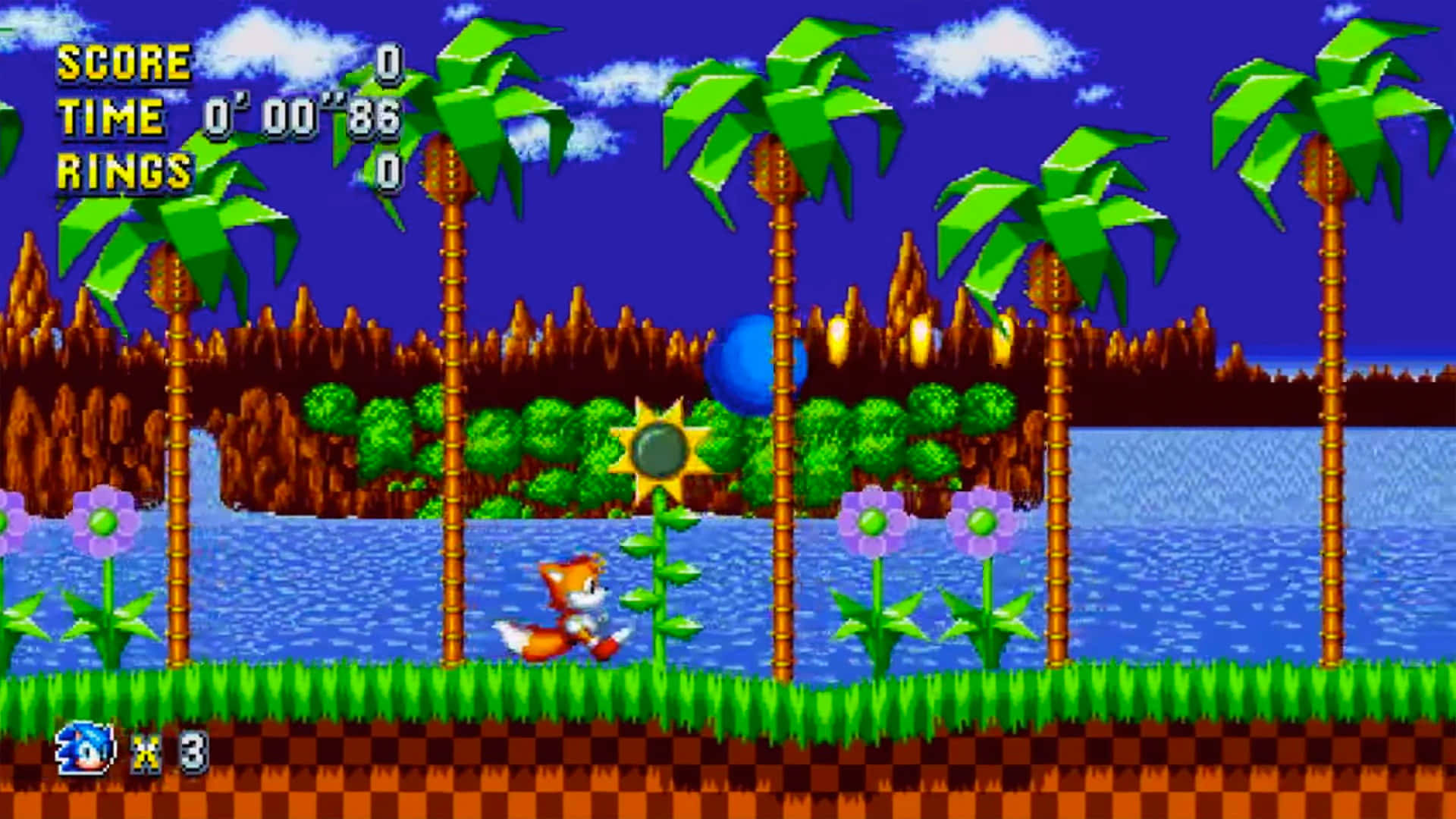 Sonic the Hedgehog exploring the vibrant Angel Island Wallpaper