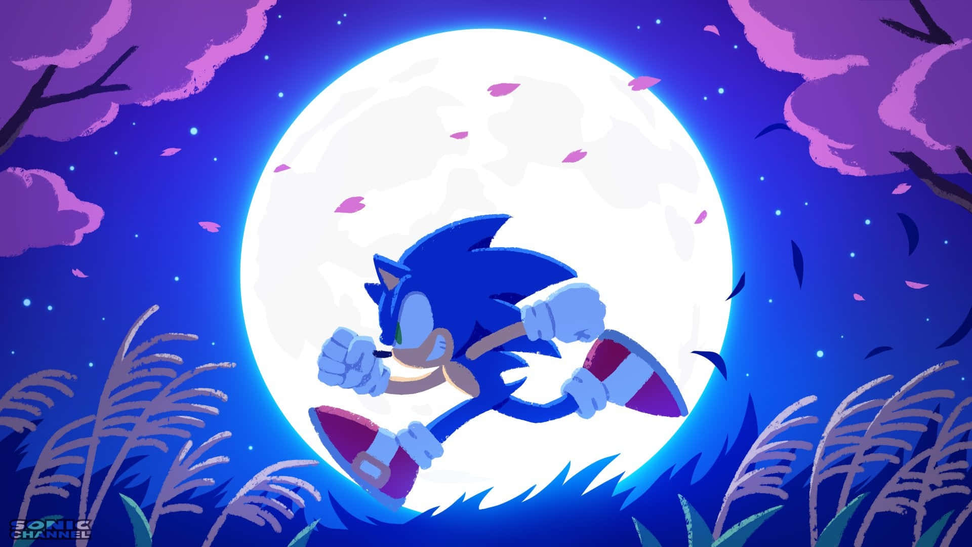 Sonic Art in Full Power Wallpaper