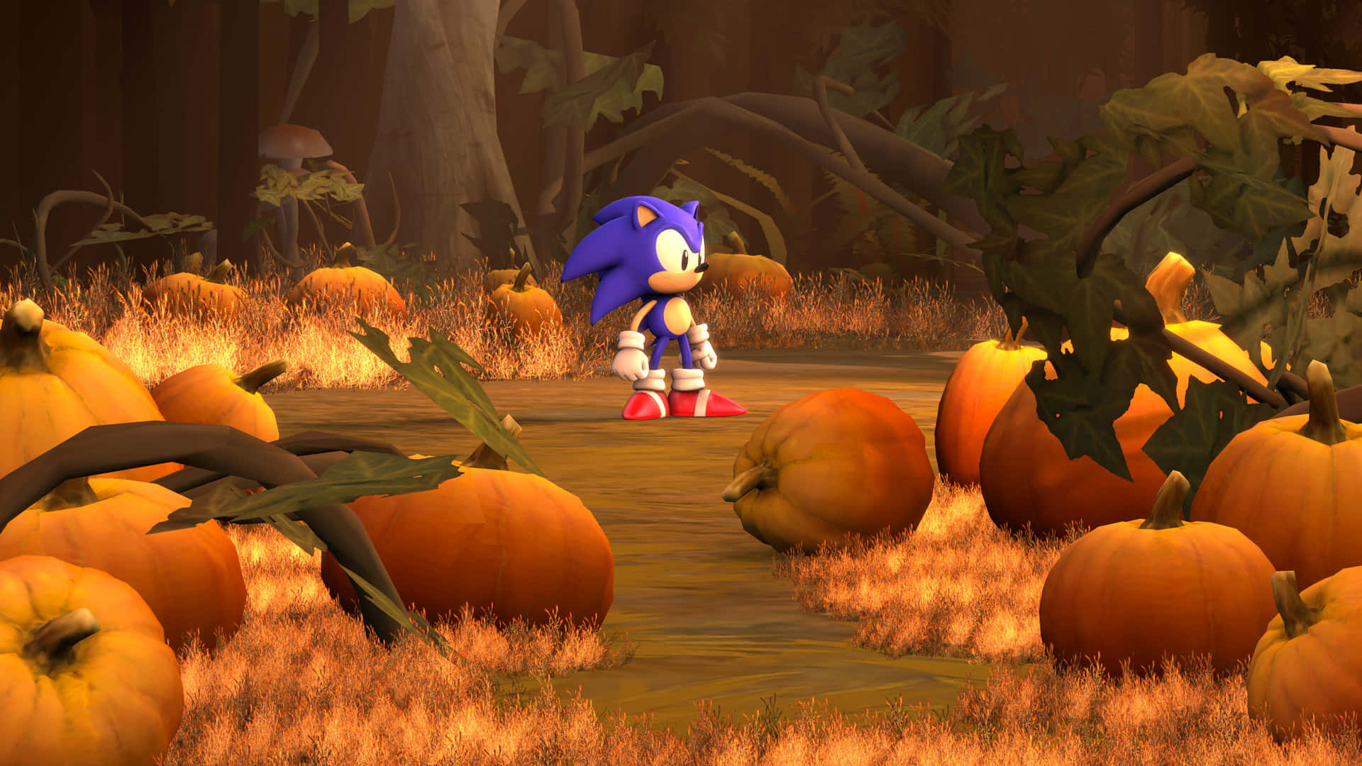 Sonic Herfst Pompoen Patch Avontuur Achtergrond