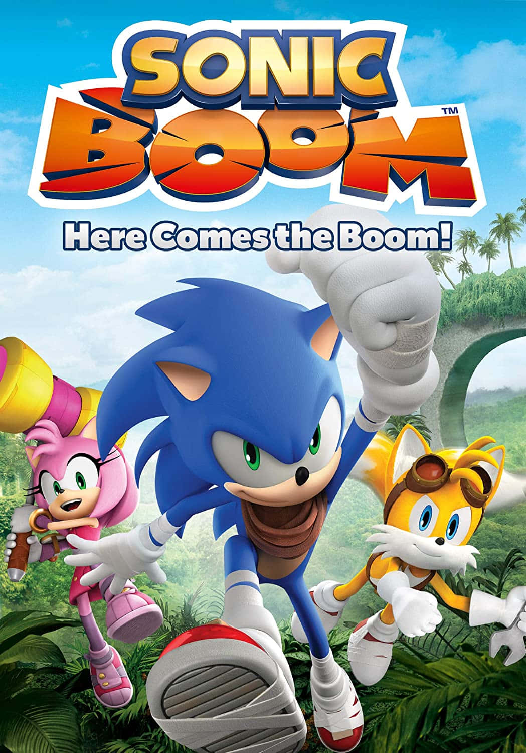 Sonic Boom in Action Wallpaper