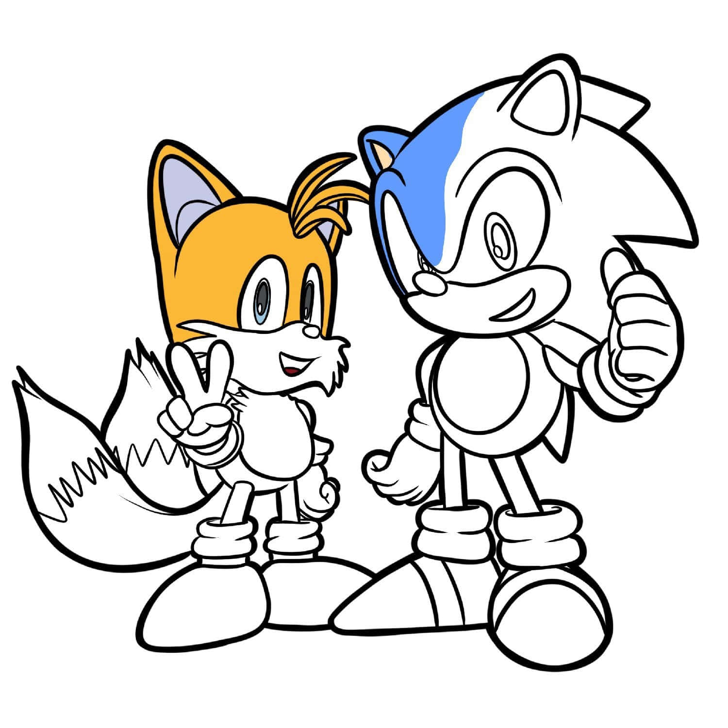 Sonicfärgläggning Tails Och Sonic Bild