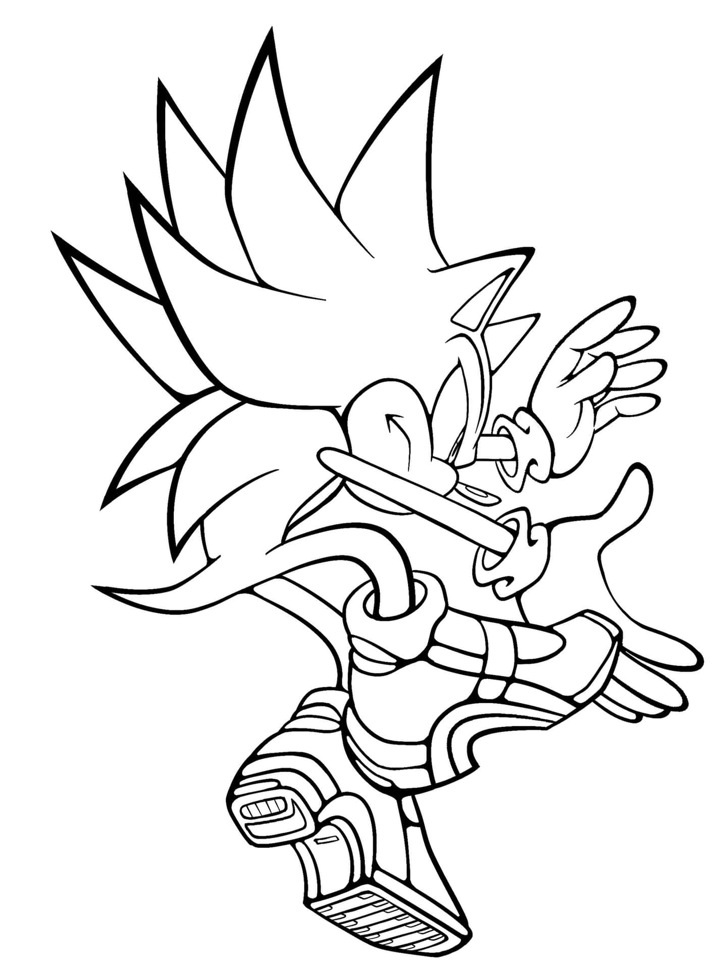 Sonic Coloring Chaos Blast Of Shadow Back View Picture