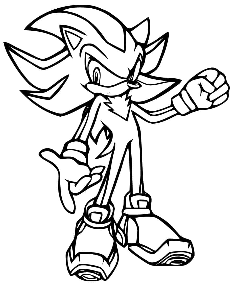 Sonic Drawing Photo - Drawing Skill